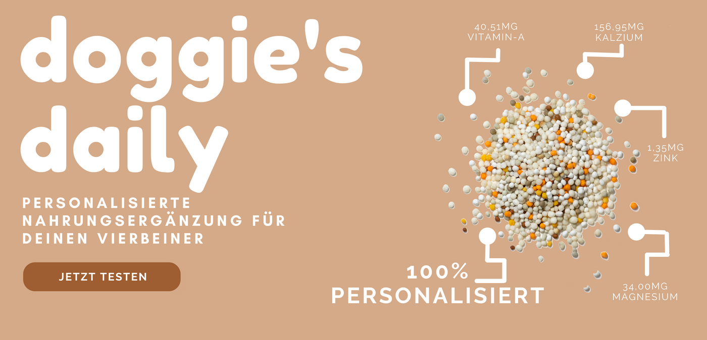 Doggies Daily, personalisierte Nahrungsergänzung für deinen Vierbeiner, jetzt kaufen